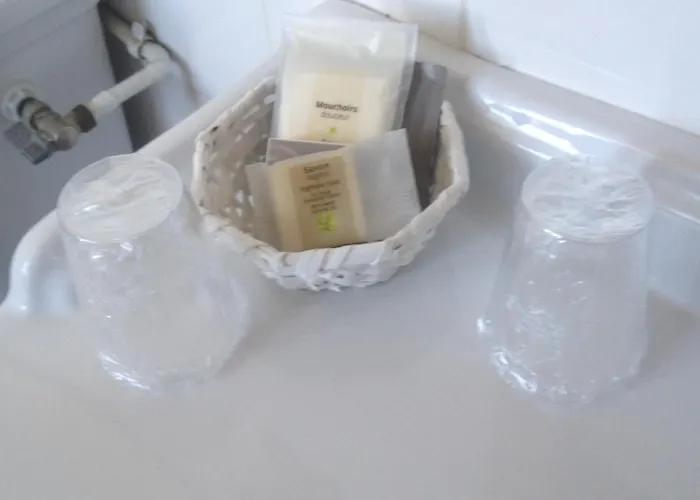 Chateau De La Tremblaye 3* Le Puy-Saint-Bonnet